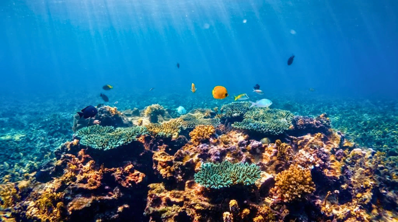 Unterwasserfelsen und klares Wasser in der Hin Wong Bay